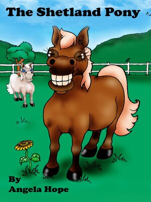 cover image of The Shetland Pony